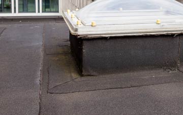 disadvantages of Ballyetragh flat roofs