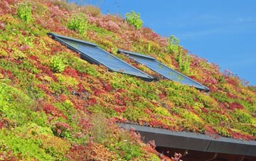 Ballyetragh living roof systems